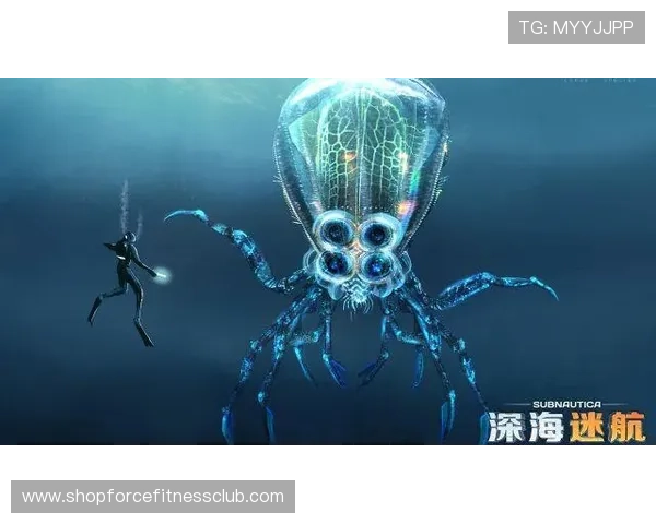 博乐真人官网网站首页多样化的真人娱乐游戏类型满足不同玩家需求